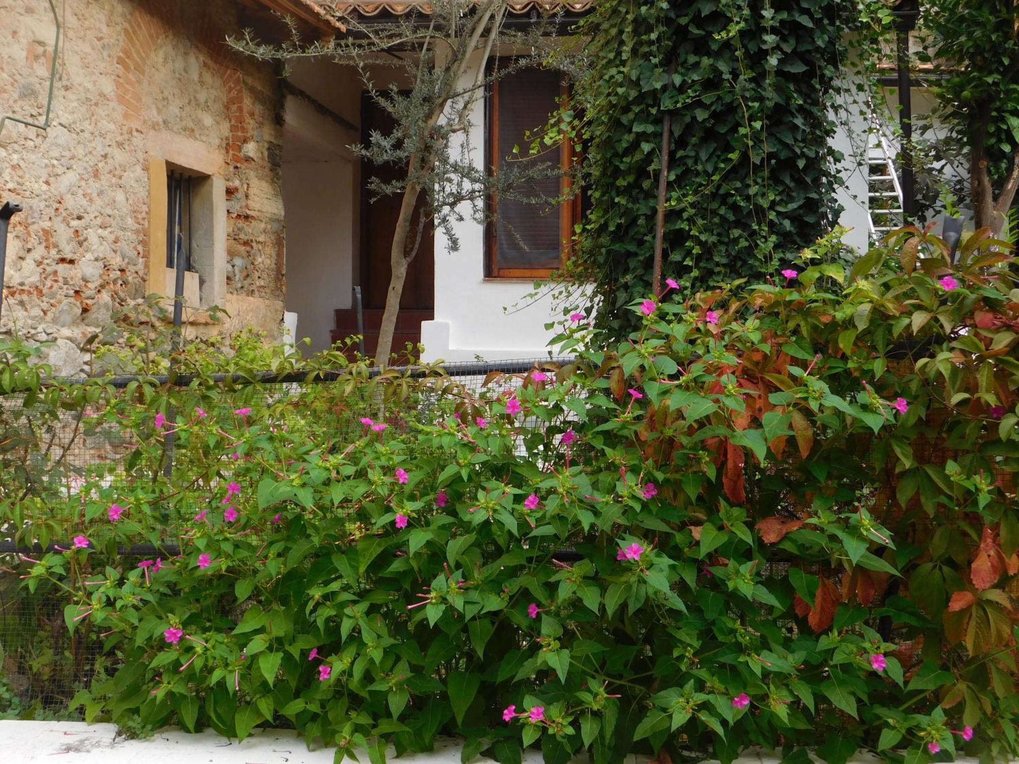 Old Garden Bed and Breakfast Cosenza Exterior foto